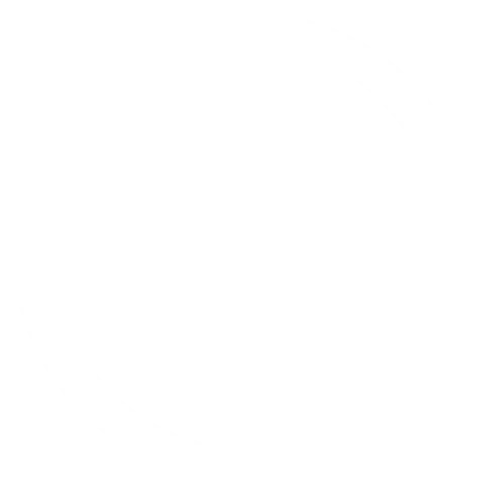 white video icon