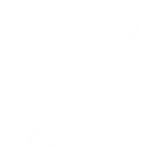 white photography icon