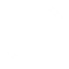 property icon